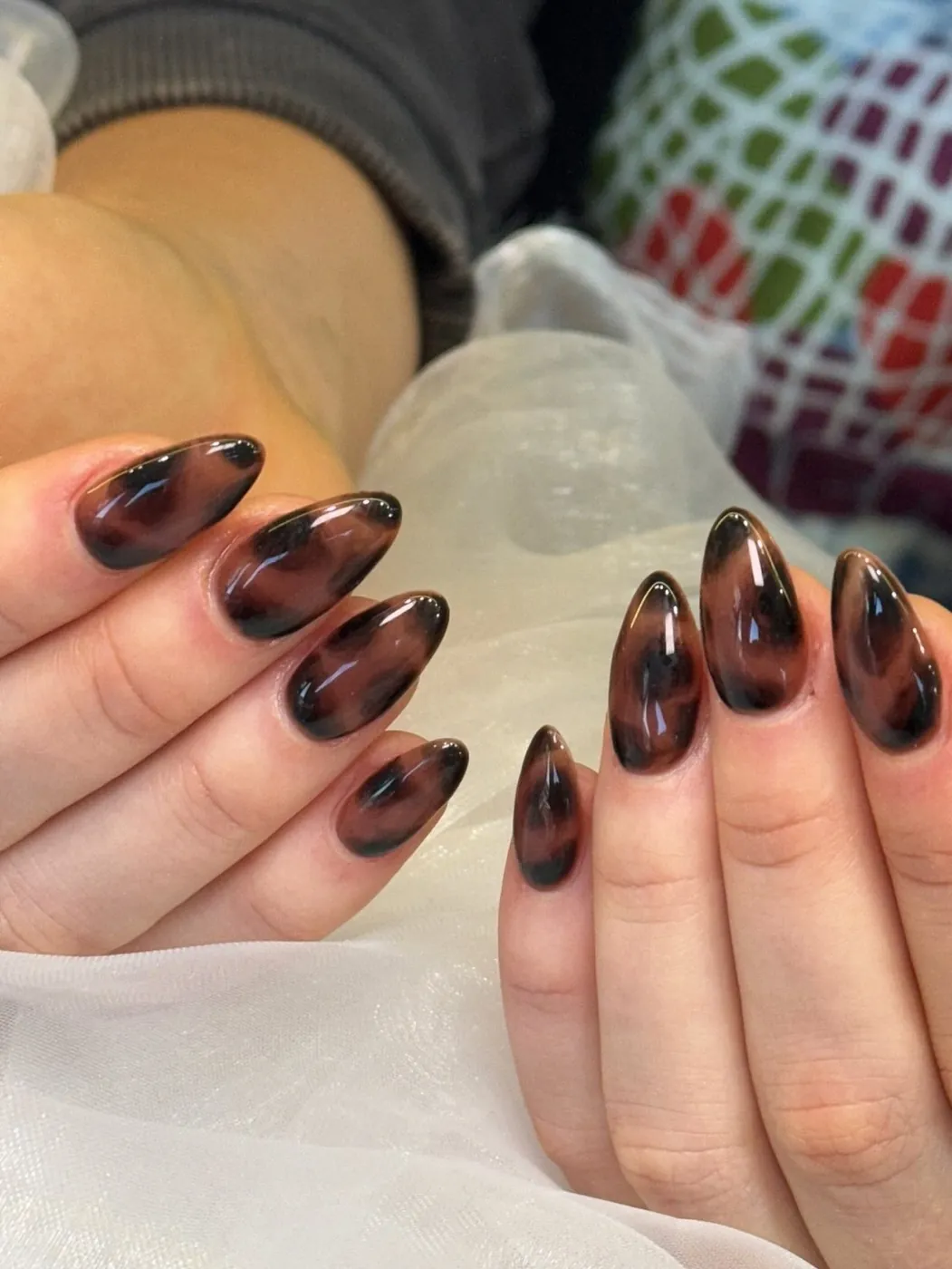 棕色貓眼磁吸膠美甲 · JIA NAIL 美甲 明洞